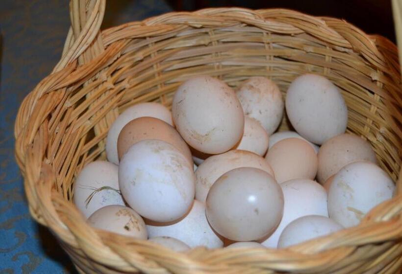 ホテル Il Falco Del Cilento