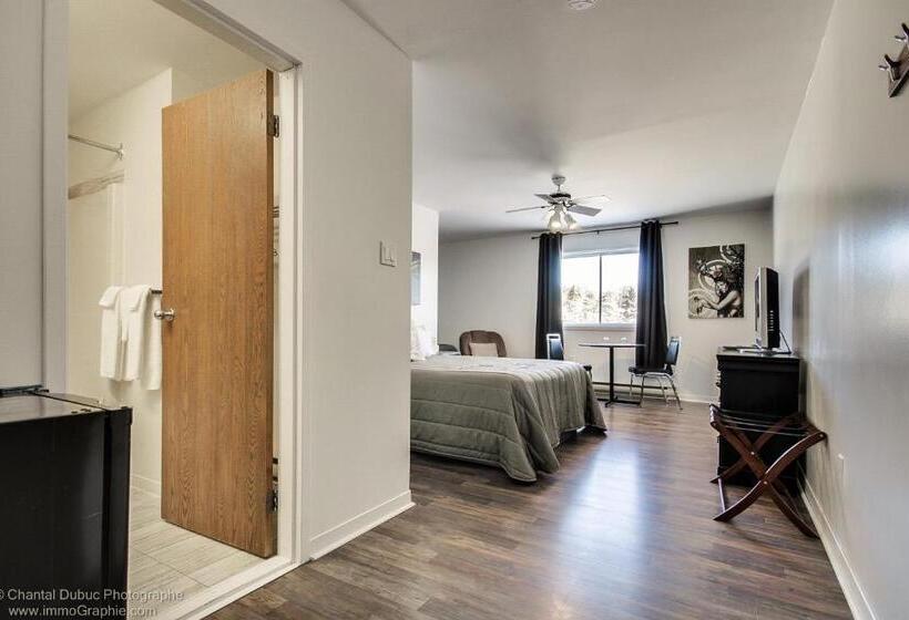 ユースホステル Auberge Motel Drakkar