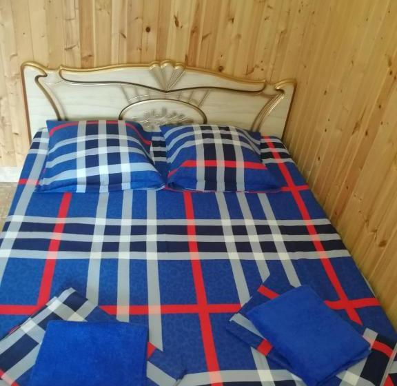 پانسیون Orhidea Guest House