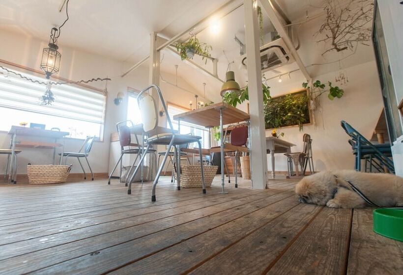 بنسيون Cafe&guest House Kaede   Hostel