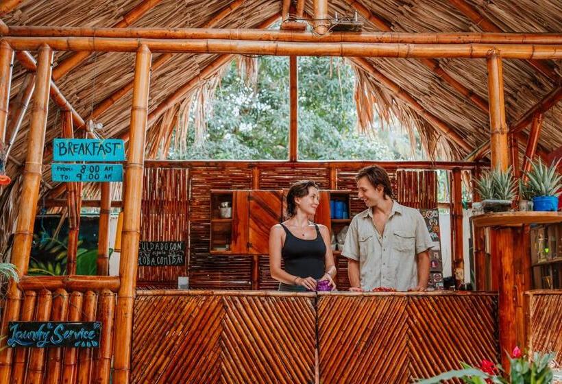 پانسیون Kasakolà