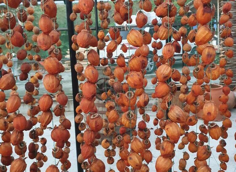 پانسیون Sofia