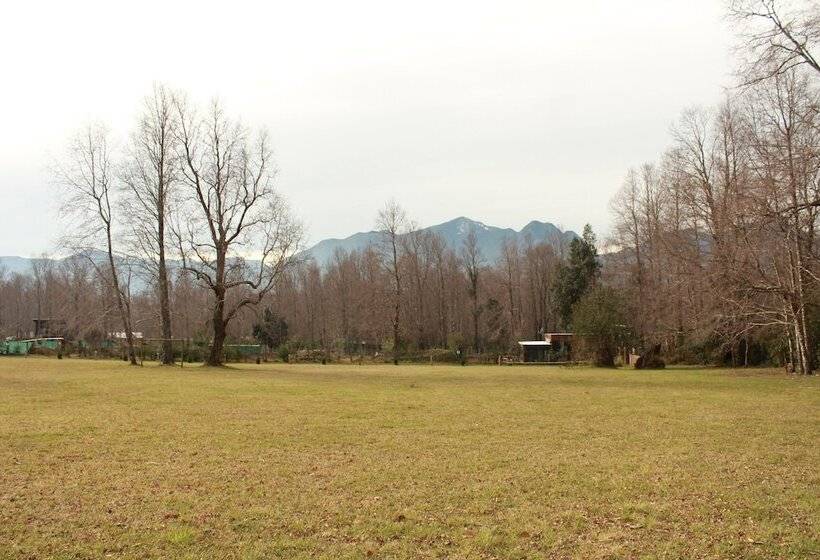 فندق صغير Hosteria Y Camping Del Bosque Pucón