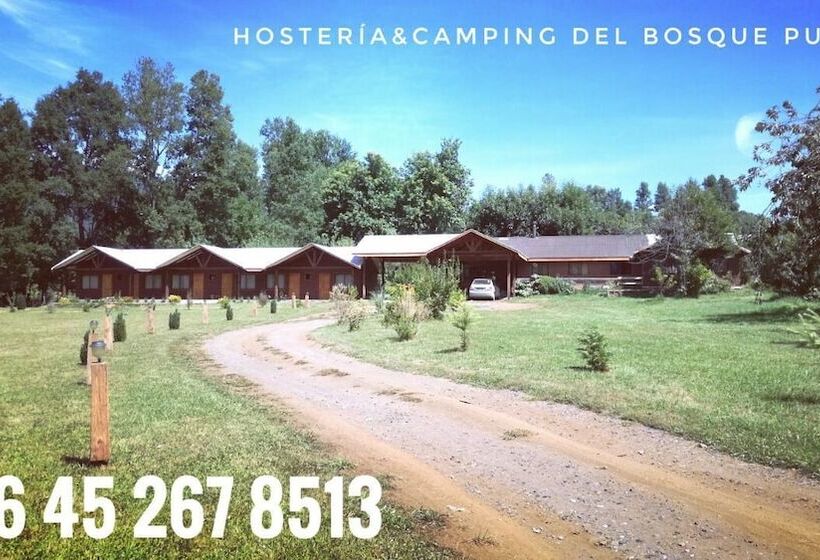 فندق صغير Hosteria Y Camping Del Bosque Pucón