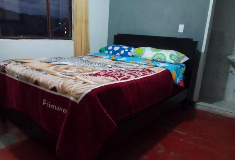 هاستل Hostal Música Y Arte