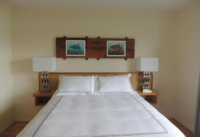 호스텔 Misty Harbour Inn
