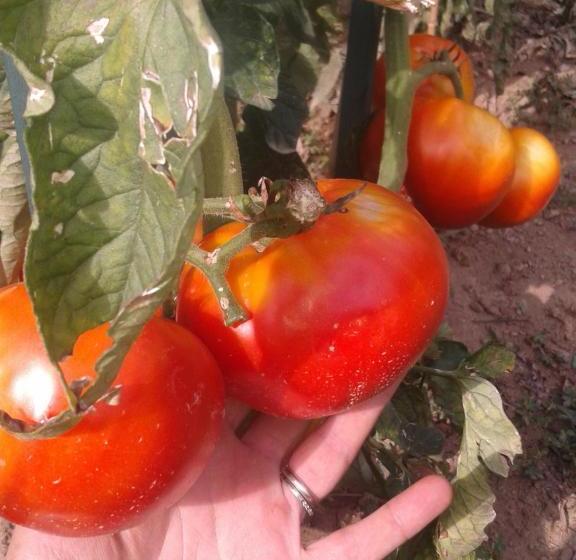 فندق Ospitalita' Rurale Casa Cani