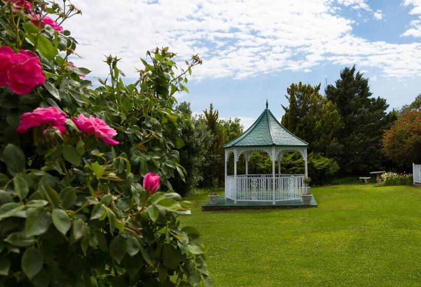 פנסיון Colesview Guest House