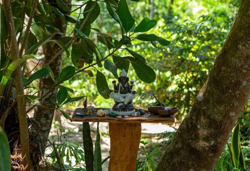 پانسیون Recanto Dos Pássaros Hospedaria Zen E Banho De Floresta Arua