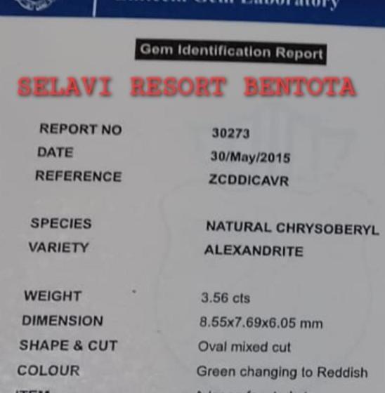 پانسیون Selavi Resort Bentota