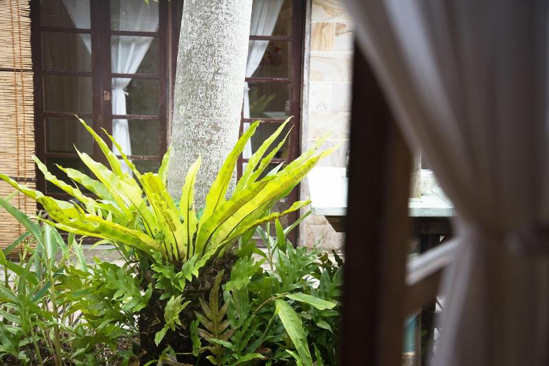 بنسيون Guest House Cago