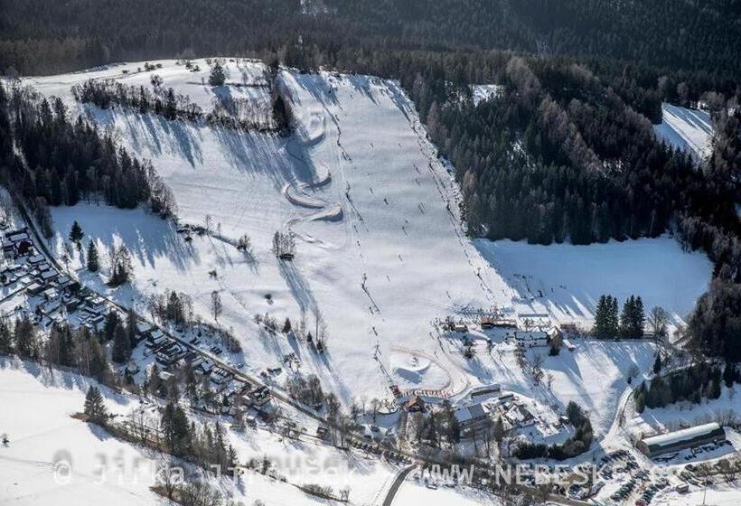 پانسیون Penzion U Lebedů