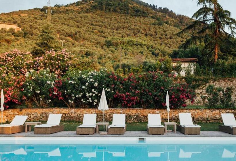 Buonvisi B&b
