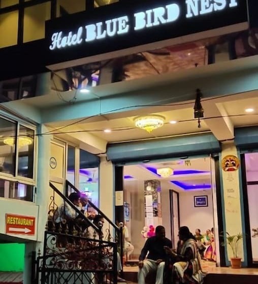Hotel Blue Bird Nest