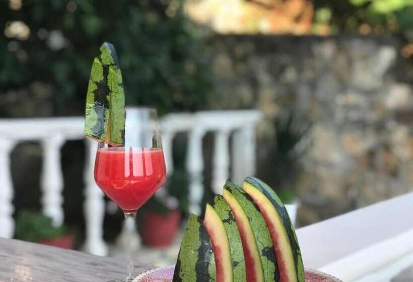 پانسیون Guest House Himaj