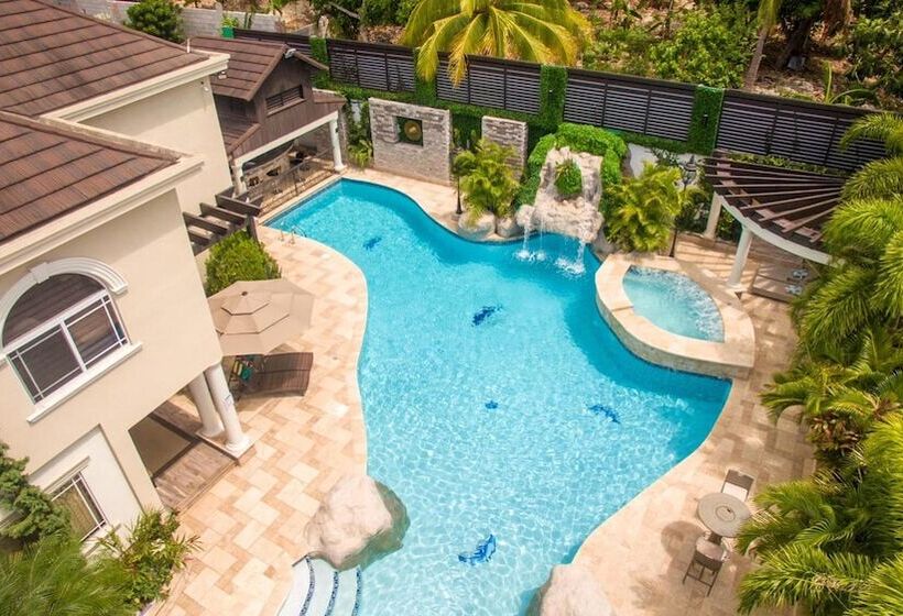 Orchids & Palms Villa