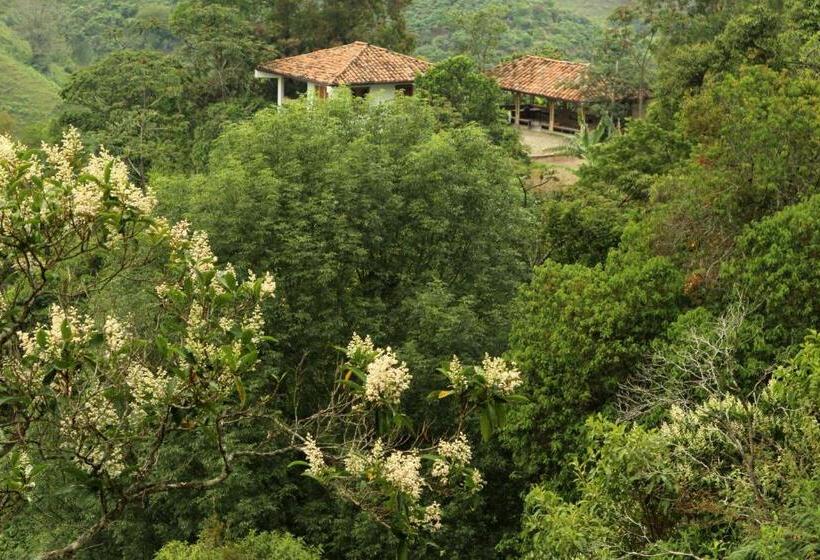 پانسیون Eco Hotel El Columpio