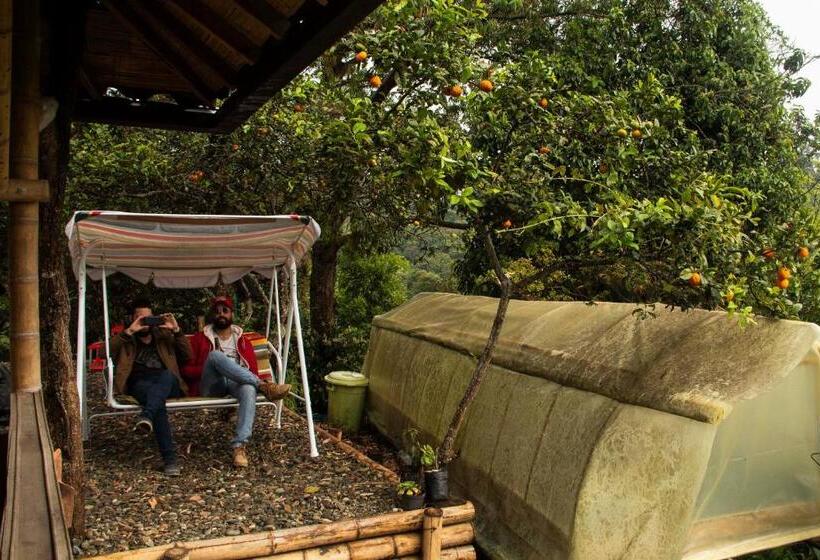 پانسیون Eco Hotel El Columpio