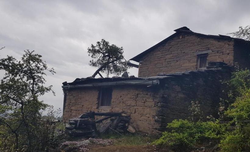 فندق صغير Stars & Pines