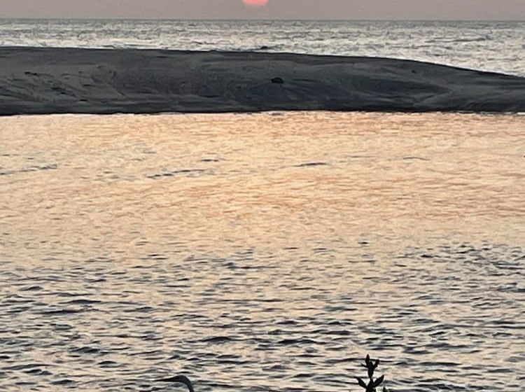 مبيت وإفطار San Carlos Surf Resort & Eco Lodge