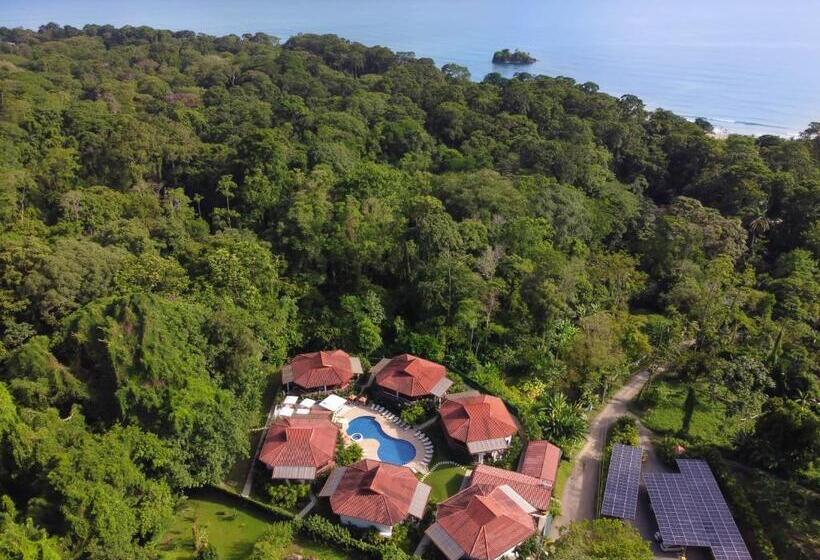 Terrazas Del Caribe