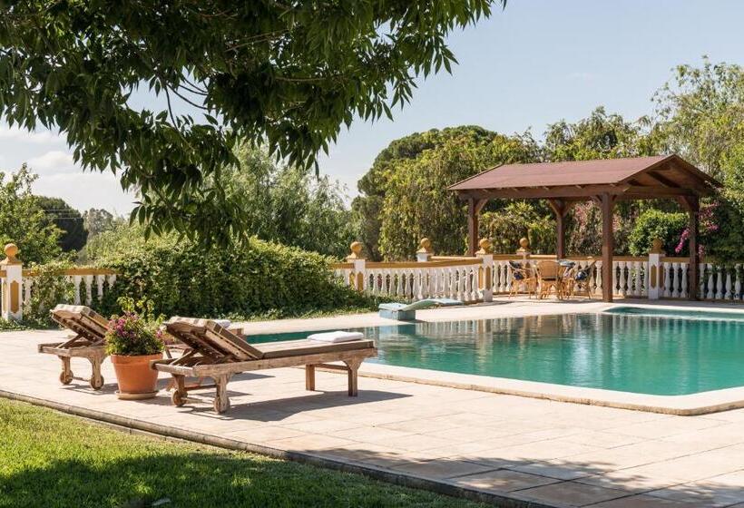 تختخواب و صبحانه Hacienda Las Tres Niñas