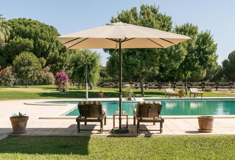 تختخواب و صبحانه Hacienda Las Tres Niñas