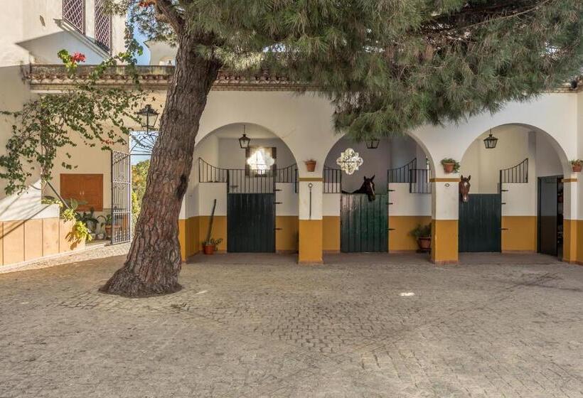 تختخواب و صبحانه Hacienda Las Tres Niñas