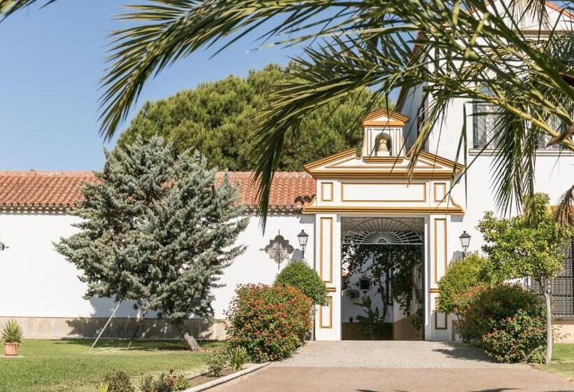 تختخواب و صبحانه Hacienda Las Tres Niñas