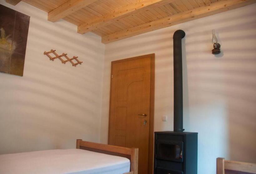 پانسیون Aste Guesthouse