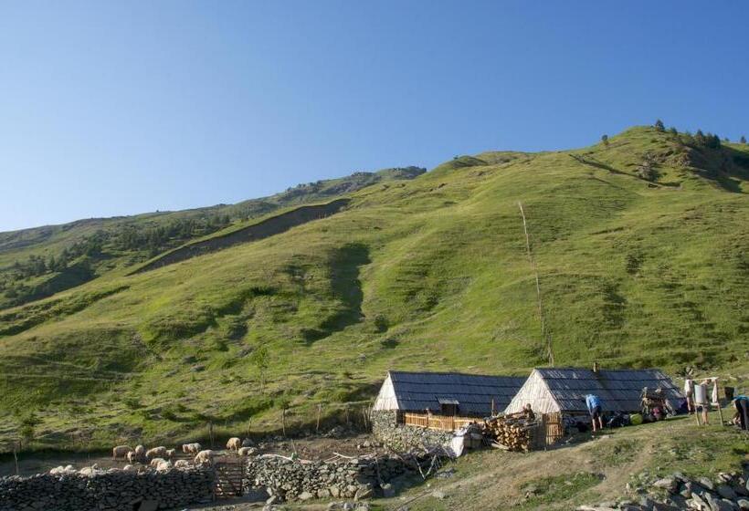 پانسیون Aste Guesthouse