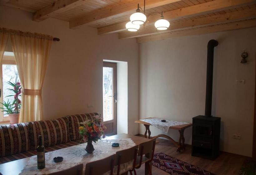 پانسیون Aste Guesthouse