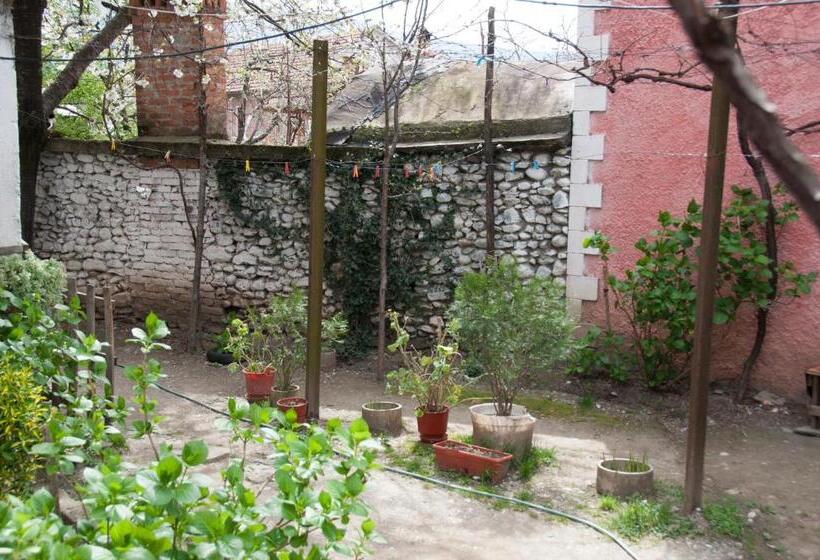پانسیون Aste Guesthouse