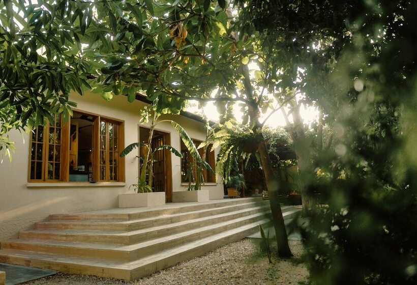 Viajero Santa Marta Hostel