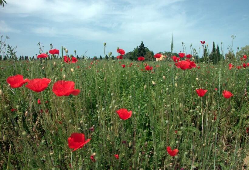 فندق Agriturismo Le Magnolie