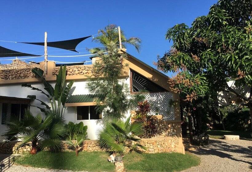 هتل Cabrera Chalet Boutique