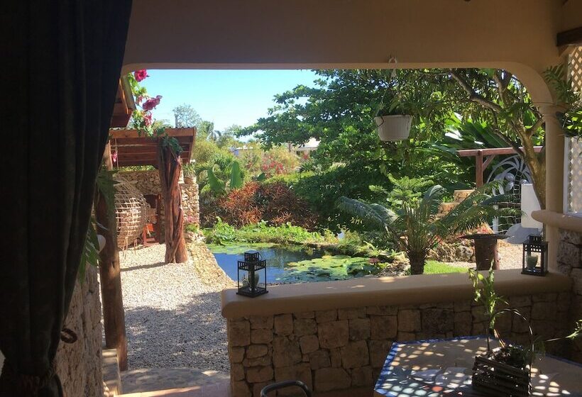 هتل Cabrera Chalet Boutique