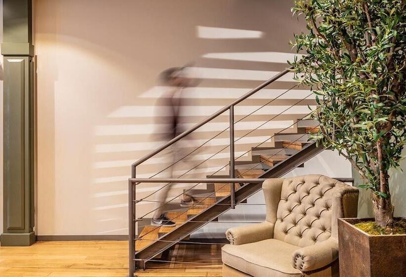 Olive Nature – Tourism Apartments