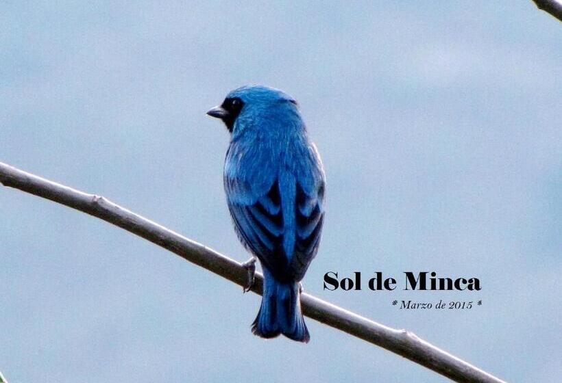 هتل Sol De Minca Eco Lodge