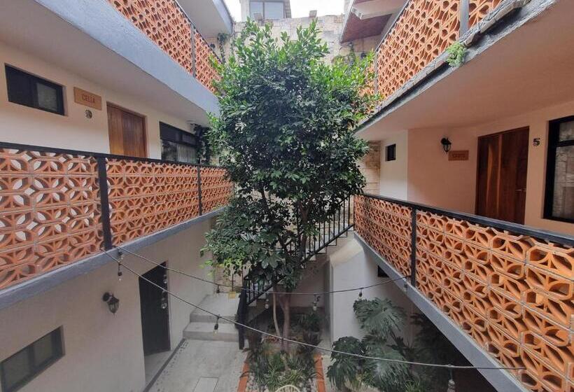 Santa Josefita B&b