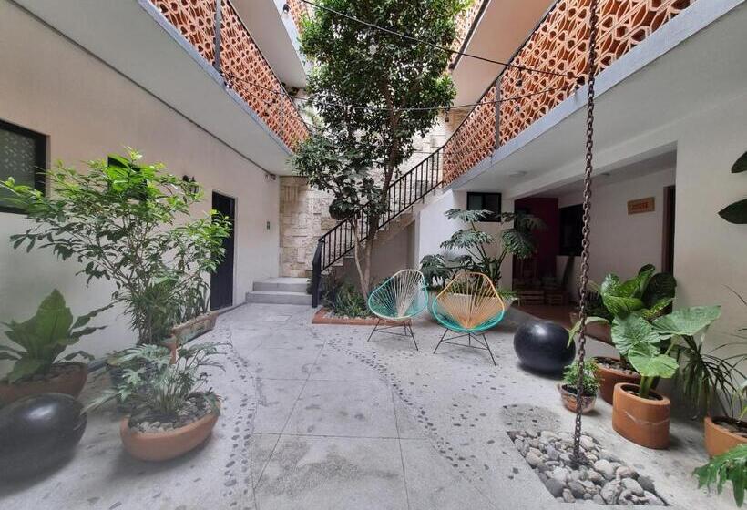 Santa Josefita B&b