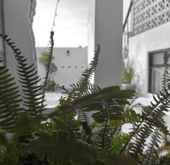 Santa Josefita B&b