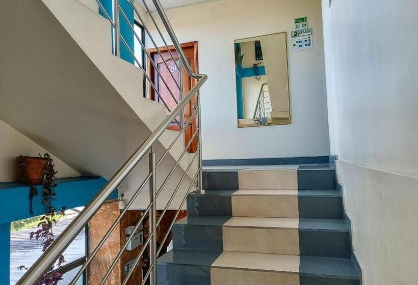 تختخواب و صبحانه Real Amazónico