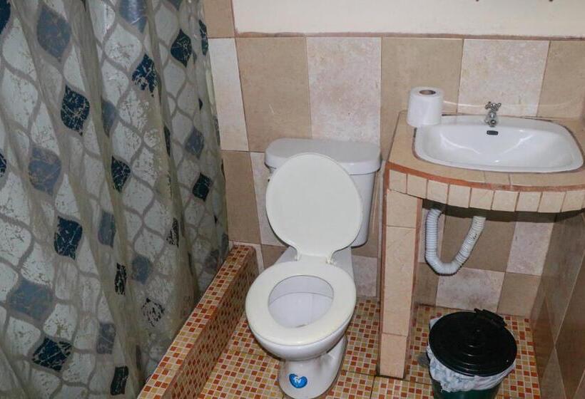 تختخواب و صبحانه Real Amazónico