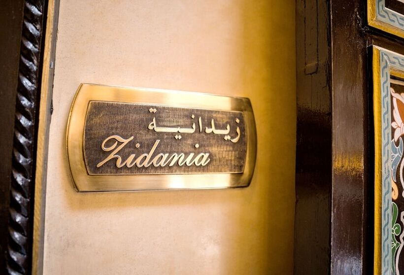 Riad Zidania