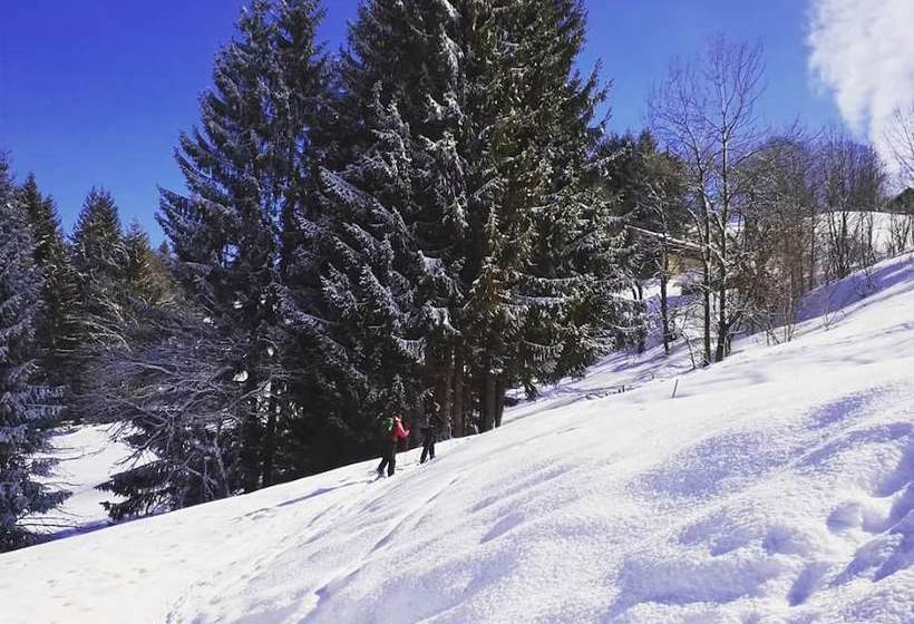 Отель Chalet Les Pieux