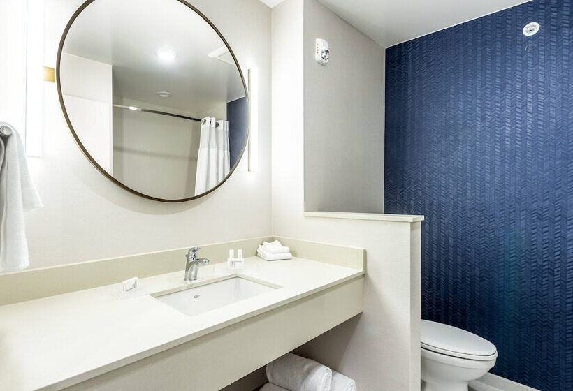 בית מלון כפרי Fairfield Inn & Suites By Marriott Dallas Dfw Airport North Coppell Grapevine