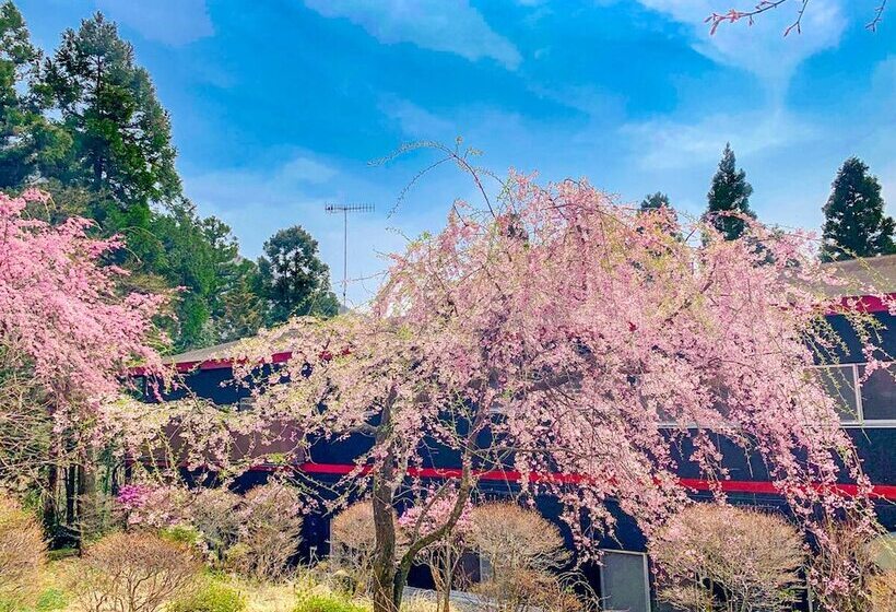 Fotos del hotel Livemax Resort Hakone Ashinoko:  36