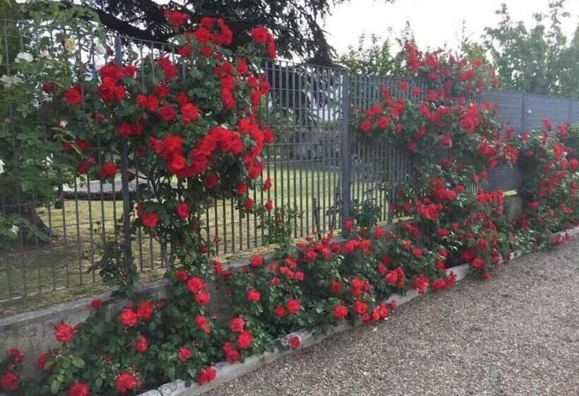 Tenuta La Rosa B&b