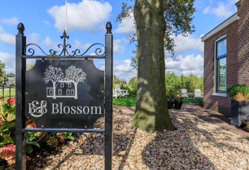 B&b Blossom
